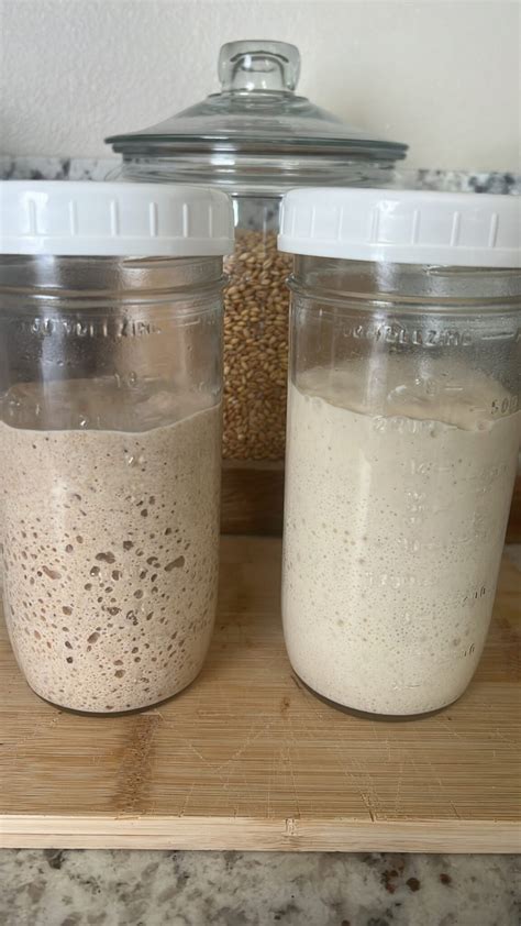 Easy Sourdough Starter Recipe - One Degree Organics