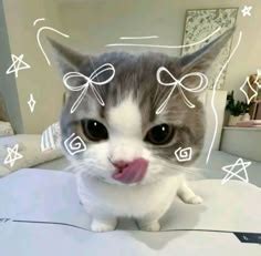 Image result for Foto Bahasa Pemrograman Python