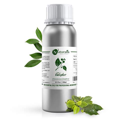 Naturalis Camphor Oil - Pure and Natural Steam Distilled Camphor ...