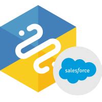 Python Life Salesforce 的图像结果