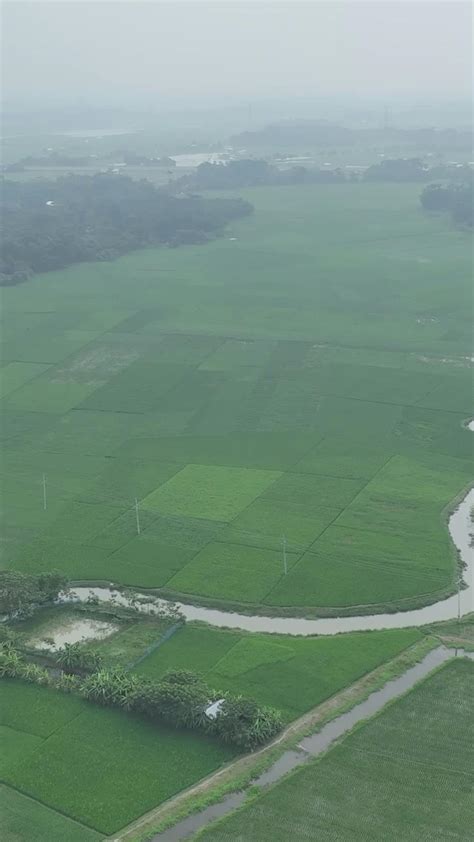 Image result for Environmental Clips