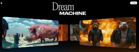 Luma Video 的图像结果