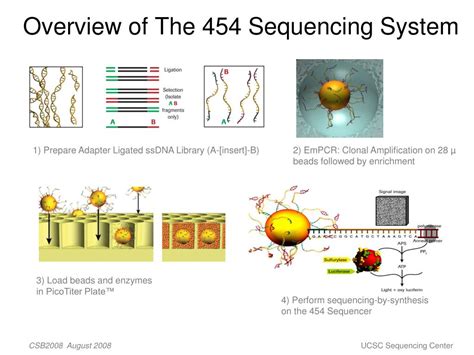 454 Pyrosequencing Steps 的图像结果