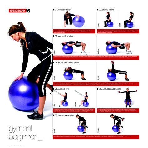 Beginner Ab Workout With Exercise Ball - Shawn Woodard