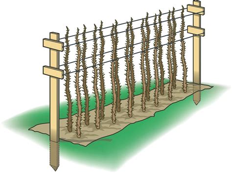 Image result for Easy DIY Raspberry Support