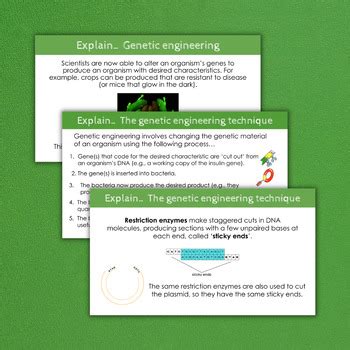 Basic Genetic Engineering GCSE Science OCR 的图像结果