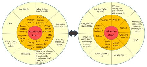 Common and Novel Markers for Measuring Inflammation and Oxidative ...