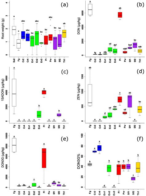Fungal Endophytes Control Fusarium graminearum and Reduce ...