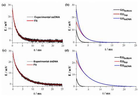 DNA Biosensor Based on Double-Layer Discharge for the Detection of HPV ...