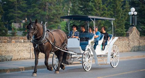 Horse Drawn Carriage Ride | Banff & Lake Louise Tourism
