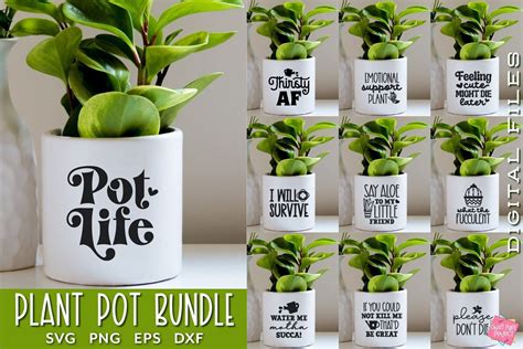 Funny Flower Pot Svg, Plant Pot Svg, House Plant Svg, Planter Sayings ...