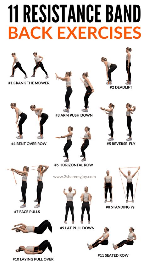 Exercises for Lower Back Using Resistance Bands 的图像结果