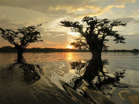 HOTEL ORQUÍDEA AMAZONICA (Sushufindi) - Hostel Reviews & Photos ...