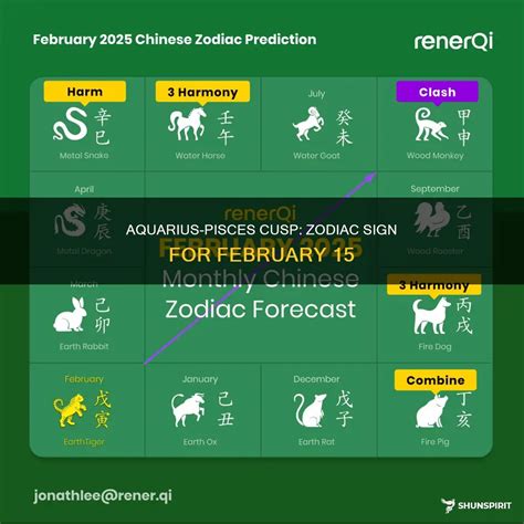 Aquarius-Pisces Cusp: Zodiac Sign For February 15 | ShunSpirit