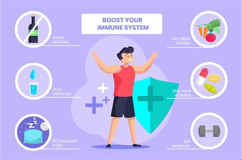Immune System Function 的图像结果