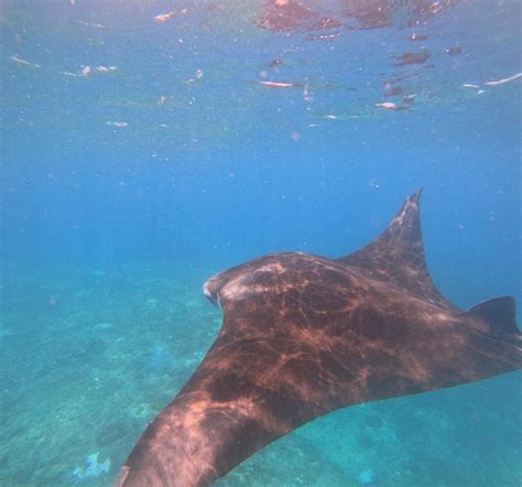 NICKY BLUESTAR (2026) All You Need to Know BEFORE You Go (with Photos ...