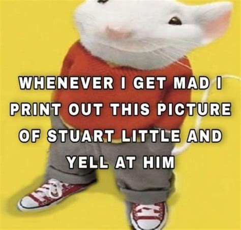 Stuart little meme Blank Template - Imgflip