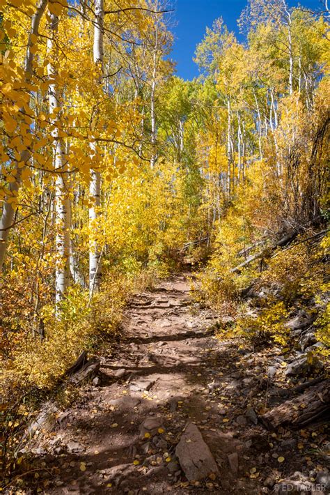 Dark Canyon Trail | Raggeds Wilderness, Colorado | Ed Tabler Photography