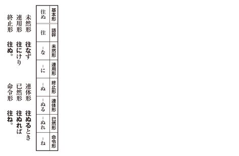 Auto Docstring Visual Studio 的图像结果