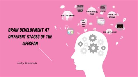 Brain Development 的图像结果