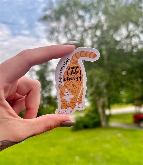 Vetmed Stickers Orange Tabby Energy Vet Tech Vetmed - Etsy