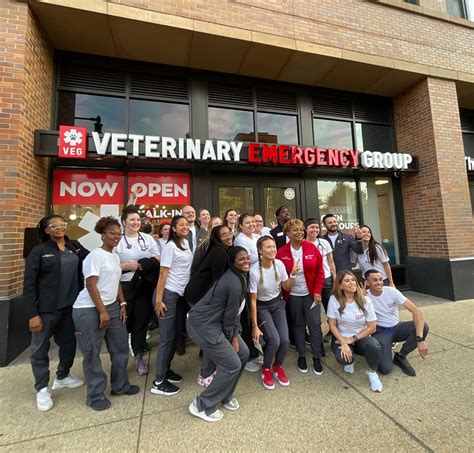 Visit the Veterinary Emergency Group for 24/7 Pet Care | HillRag