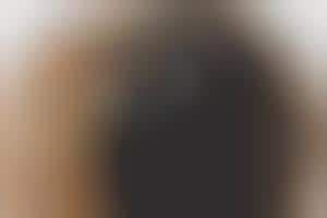 Sleek House Fans: Swizz Style 'Otto' Wood-Formed Fan Blends Form and ...