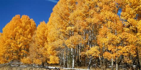 Neal & Summers Funeral and Cremation Center | Martinsville, IN Funeral ...