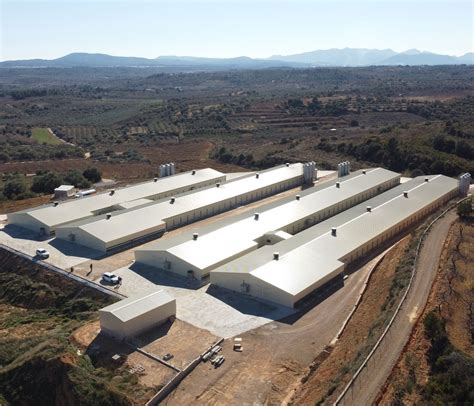 García Crosanto, una granja de pollos de engorde por New Farms