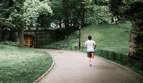 Do Exercise 的图像结果