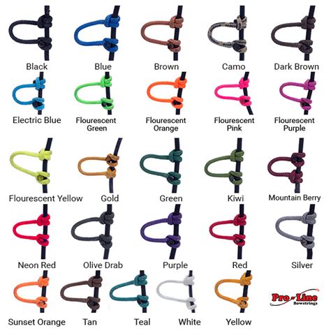 Bow String D-loop 的图像结果