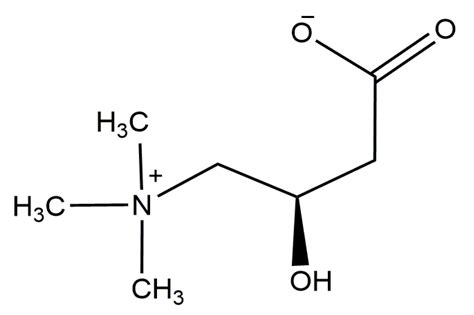 35 Facts About Systemic Carnitine Deficiency - Facts.net