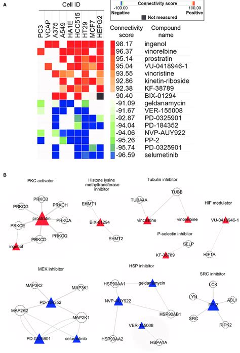 Connectivity Map 的图像结果