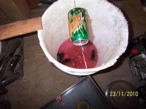 Image result for Exploding Mouse Trap