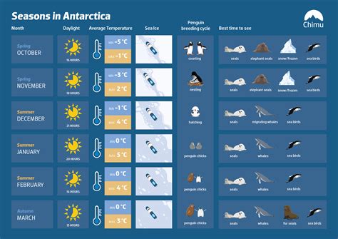 Best Time to Travel to Antarctica - Everything you need to know