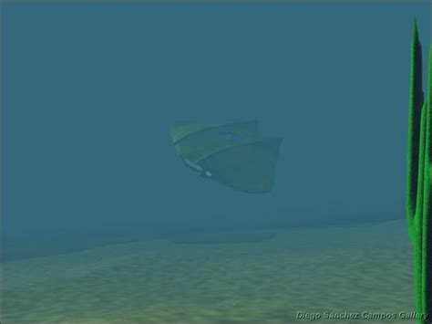 Image result for Flying Wing Sub