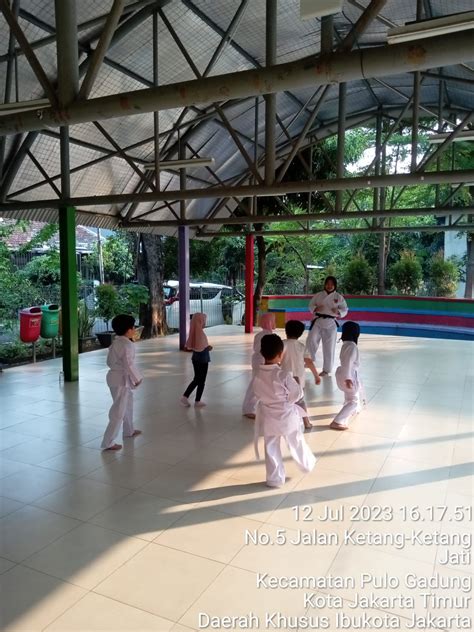 Dojo Kids 的图像结果