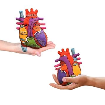 GIANTmicrobes Anatomical Heart Plush, Human Heart Model, Heart Anatomy ...
