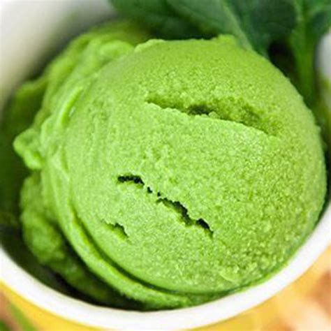 Blendtec India Official