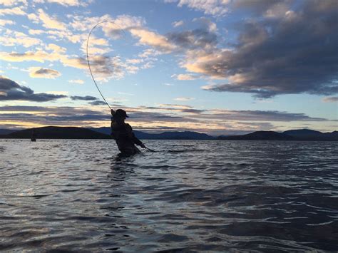 Image result for Muskin Fly Pattern