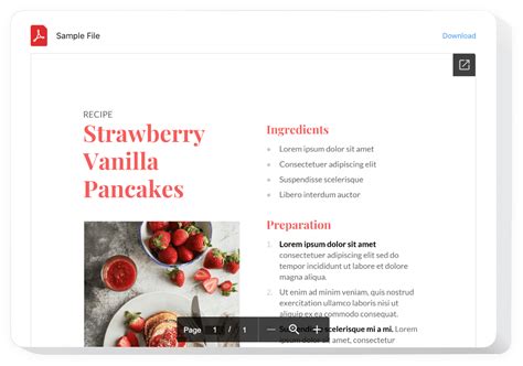 Image result for Iframe PDF Viewer Example