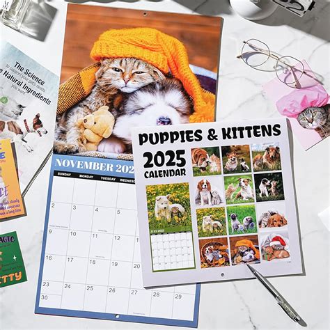 Attitill 2025 Calendar - Kittens and Puppies Calendar 2025, India | Ubuy