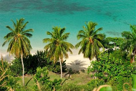 Ile-a-Vache Pictures - Traveller Photos of Ile-a-Vache, Sud Department ...