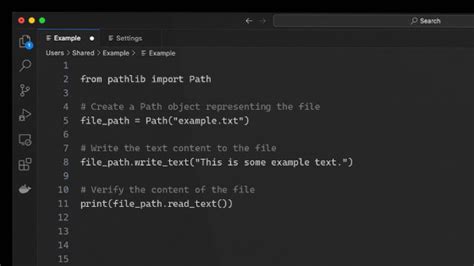 How to Write File Path in Python 的图像结果