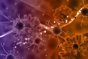 Smallest Cell in Human Body | The Creative Post