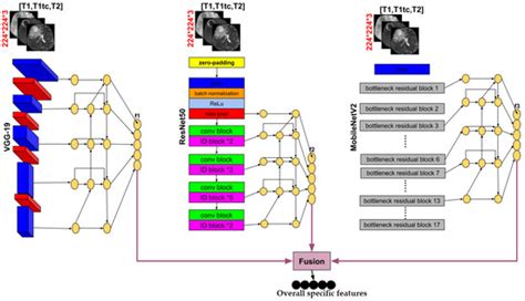 Efficient U-Net Architecture with Multiple Encoders and Attention ...