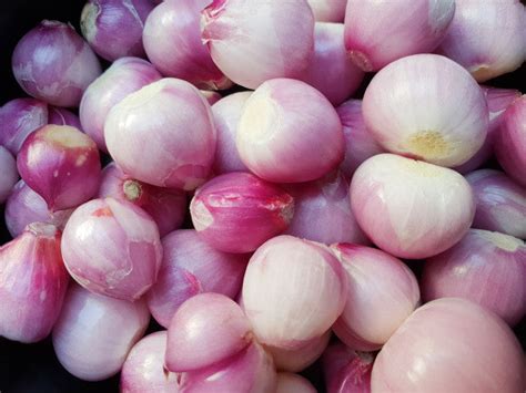 Organic Peeled Small Onion-Shallots – GreenDNA® India