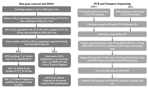 Application of Host-Depleted Nanopore Metagenomic Sequencing in the ...