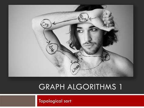 Graph Algorithms Tutorial 的图像结果
