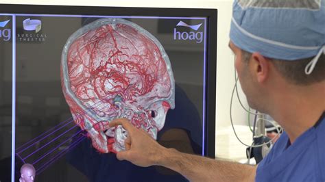 Image result for Virtual Brain Surgery Simulator